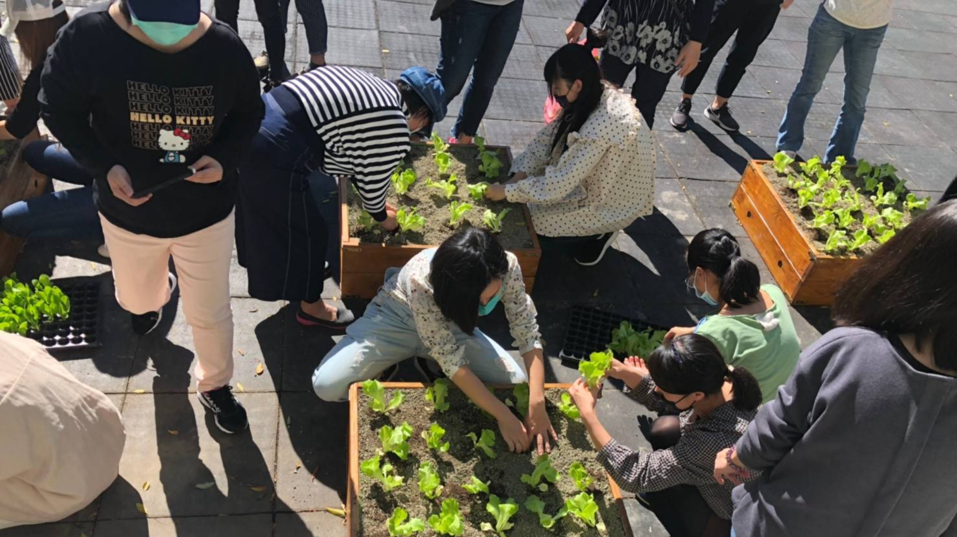 北一女中食農教育課程