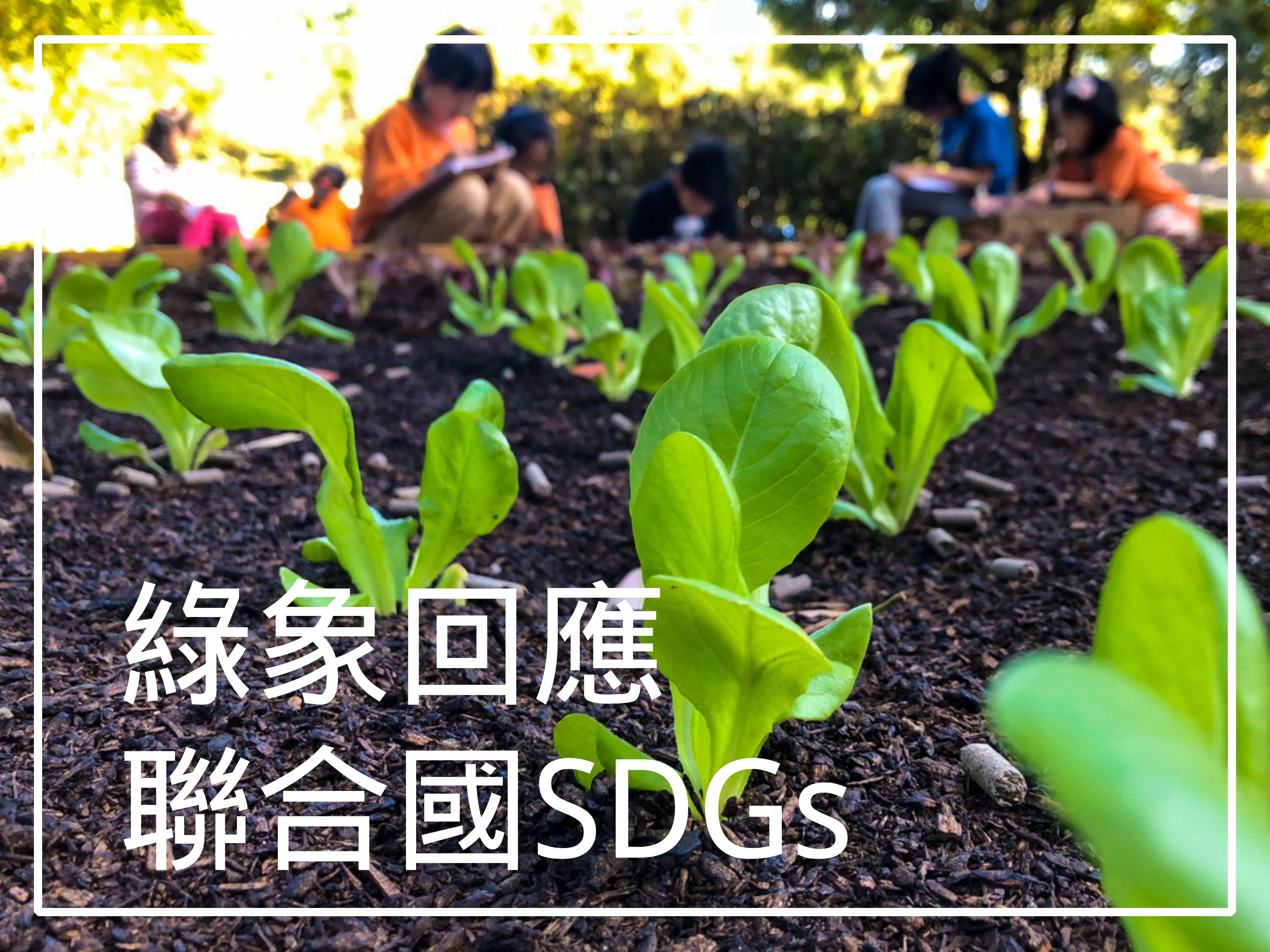 綠象回應聯合國SDGs